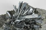 Metallic Stibnite Crystal Spray On Matrix - Xikuangshan Mine, China #175926-1